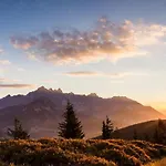 Mittersteghof, *