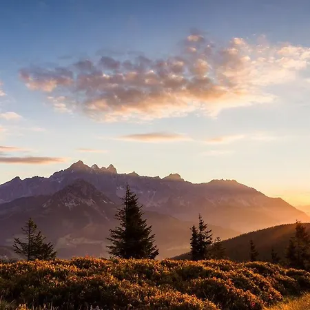 Mittersteghof, *