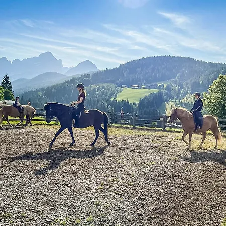 Mittersteghof, Alloggio per agriturismo Filzmoos